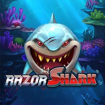 Razor Shark (Push Video Gaming): Überblick Razor Shark (Push Video Gaming): Überblick